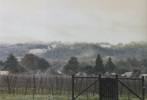 Snow in the vineyard, 2008