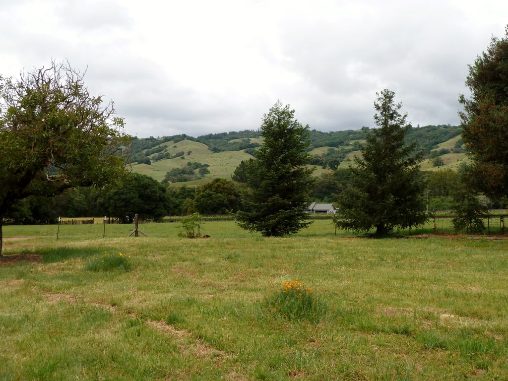 a field with a view of the hills