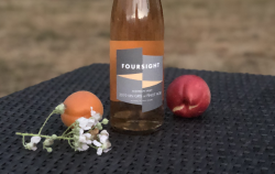 2019 Vin Gris of Pinot Noir