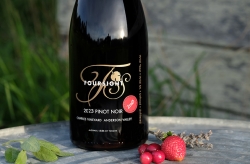 2023 Zero New Oak Pinot Noir