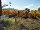 Charles Vineyard